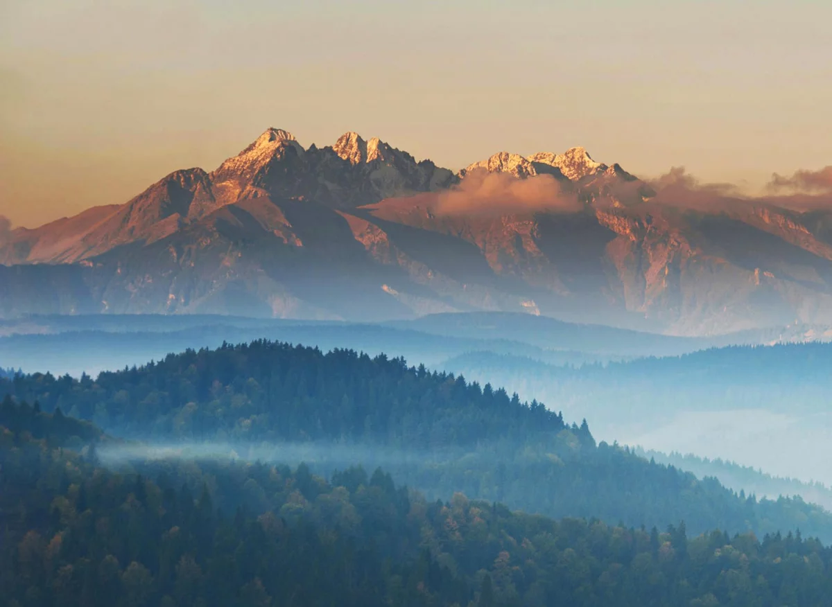 Koszowe podnośniki - do czego są potrzebne