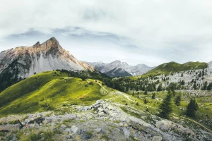 Czy  żeby kupić oprogramowanie trzeba wydać dużo?