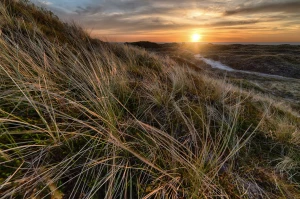 Jak zacząć biegać: plan dla początkujących kobiet