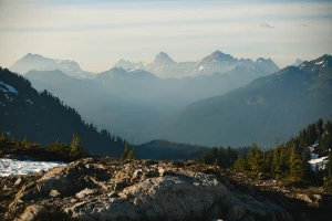 Daj Mi 5 Dni A Ja Pokażę Ci Jak opublikować artykuły sponsorowane